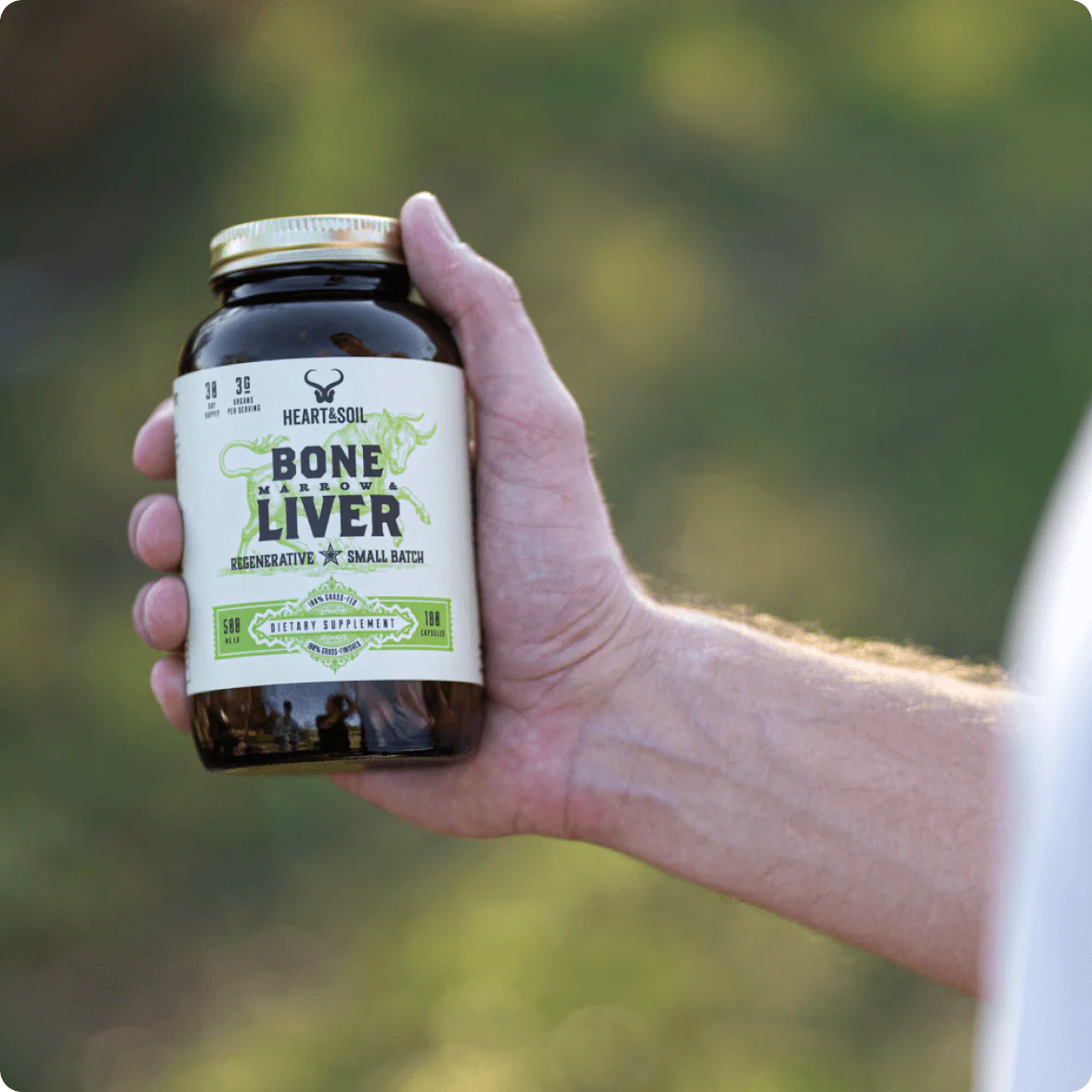 Bone Marrow & Liver - Image 4