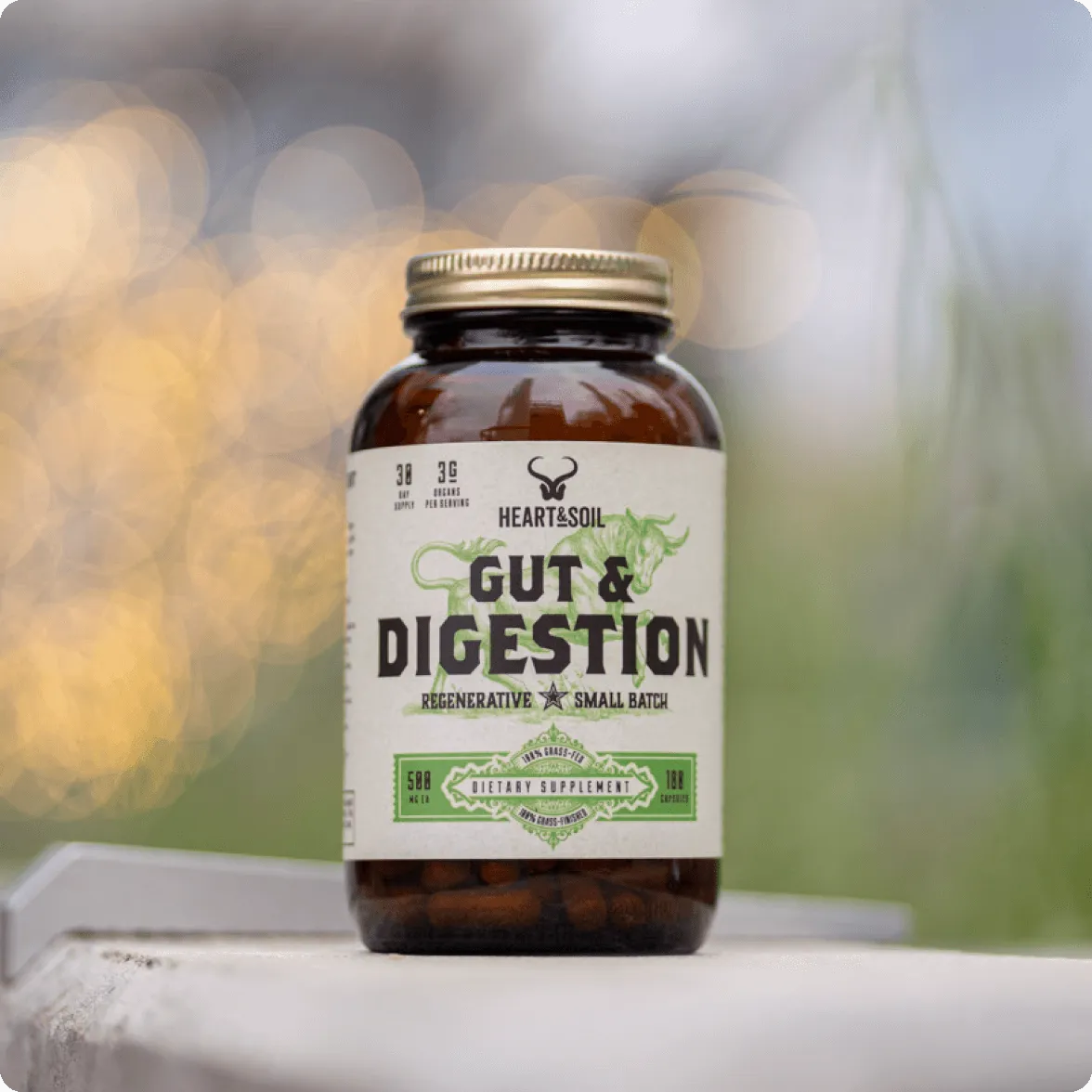 Gut & Digestion - Image 3