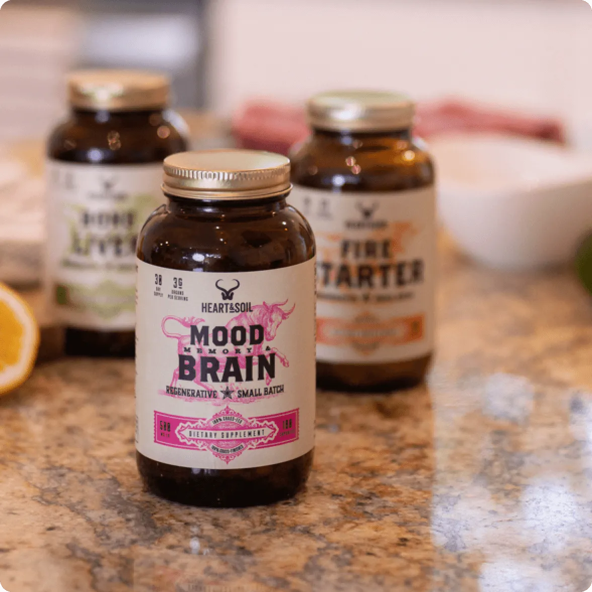 Mood, Memory & Brain - Image 3